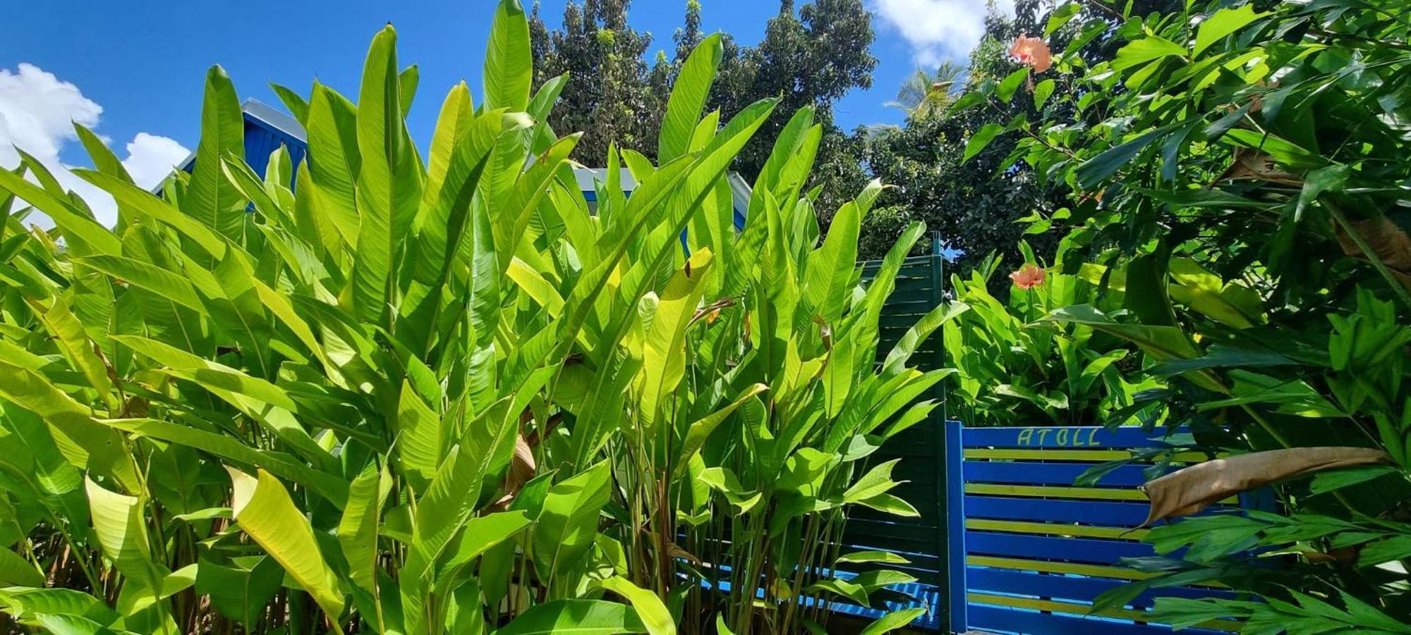 Charmant Bungalow Atoll Appartement Sainte-Anne (Grande-Terre)