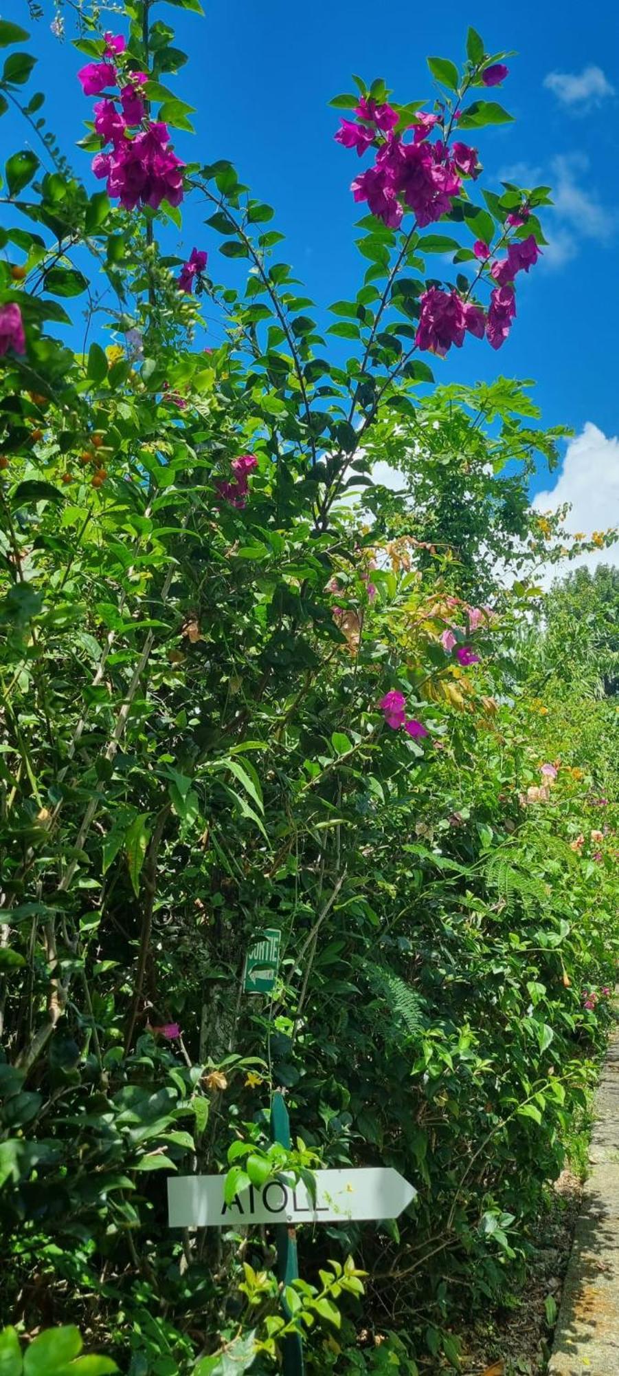 Charmant Bungalow Atoll * Sainte-Anne (Grande-Terre)