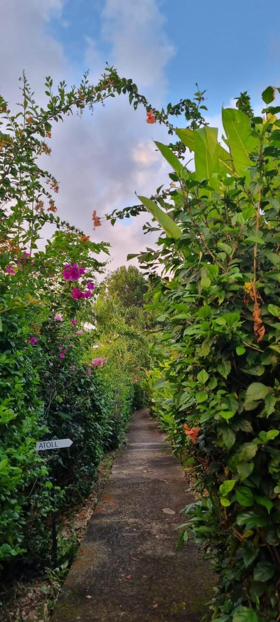 Charmant Bungalow Atoll *