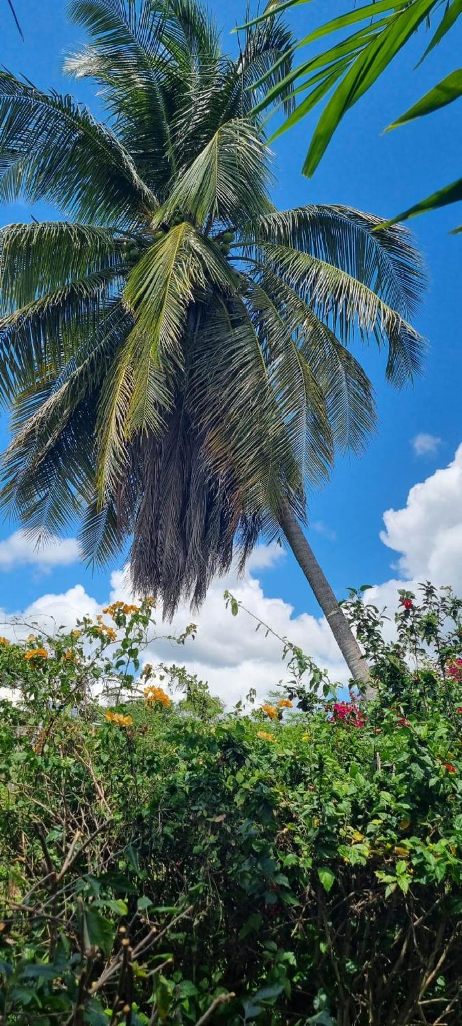 Charmant Bungalow Atoll