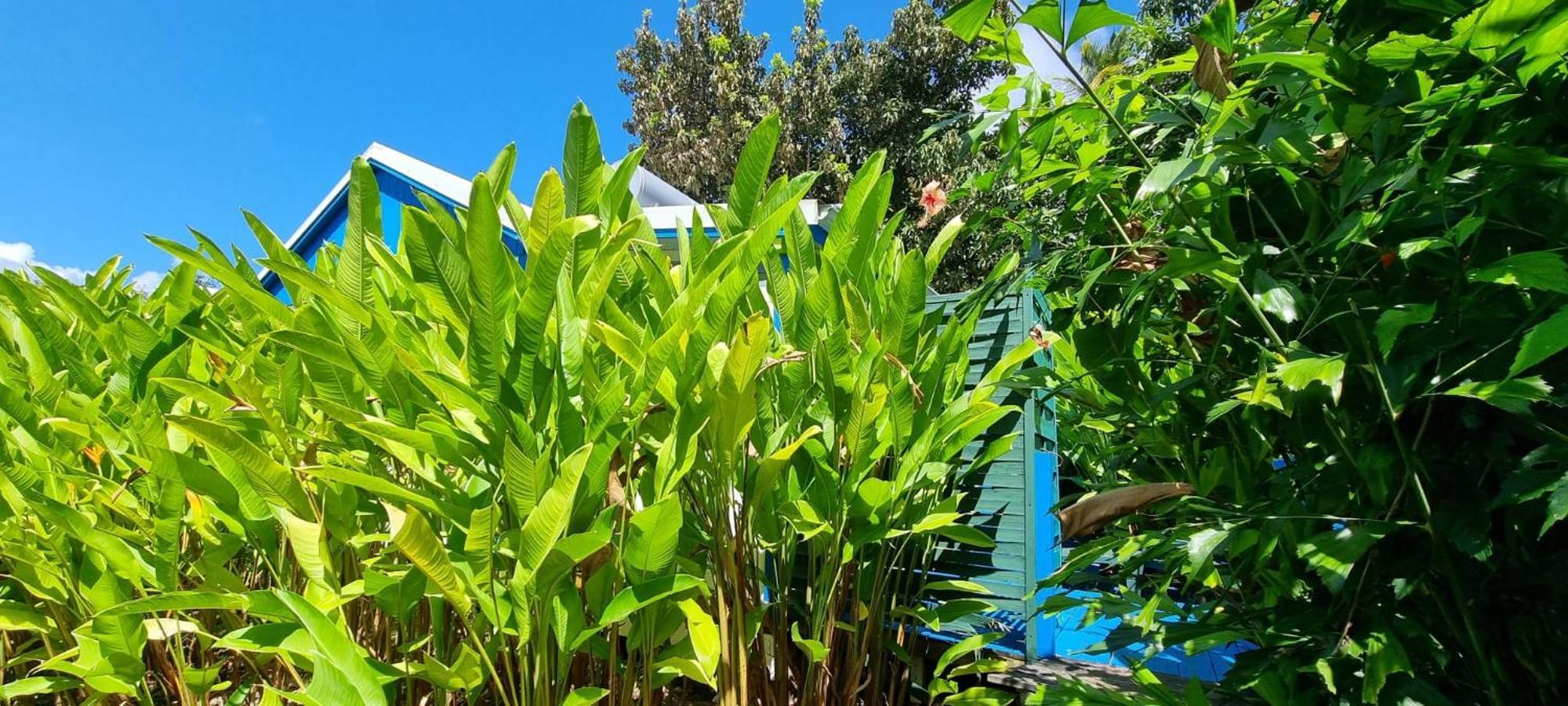 Appartement Charmant Bungalow Atoll